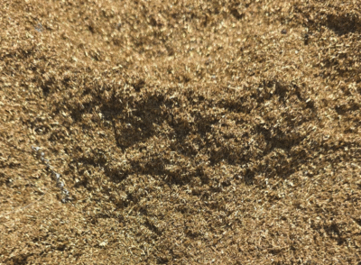 Hurda sarı talaşı